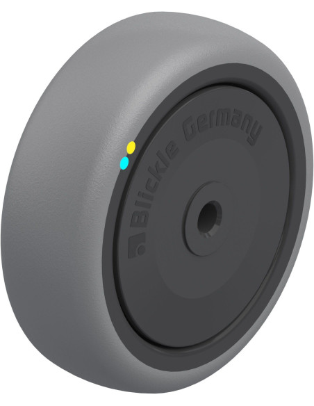 TPA 101/8KFD-ELS antistatinis ratukas 100x32 mm