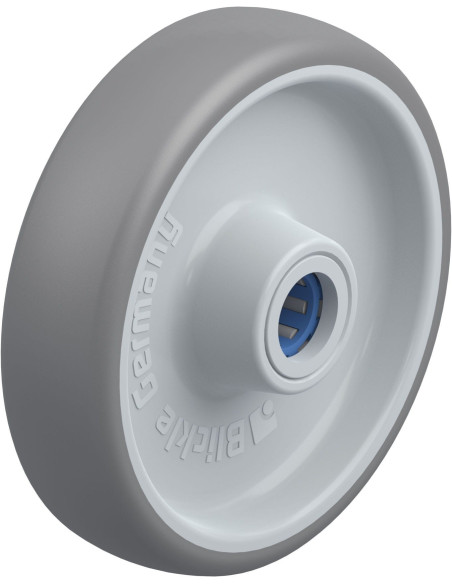 TPA 160/20XR ratas iš nerūdijančio plieno