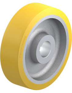 GTHN 504/100H7 varantysis ratukas su poliuretano