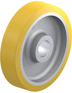 GTHN 602/120H7 varantysis ratukas su poliuretano