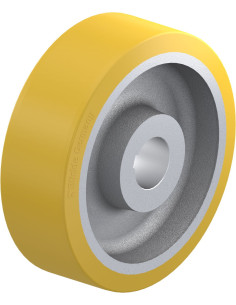 GTHN 604/120H7 varantysis ratukas su poliuretano