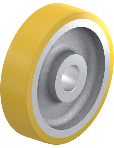 GTHN 750/150H7 varantysis ratukas su poliuretano