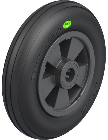 VWPP 200/20R dengtas guminis ratukas