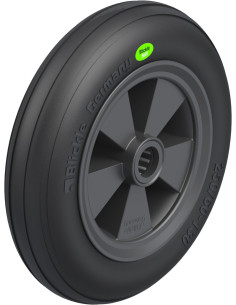 VWPP 250/25R dengtas guminis ratukas