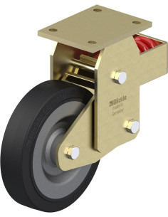 BSFN-SE 200K spyruoklinis fiksuotas ratukas