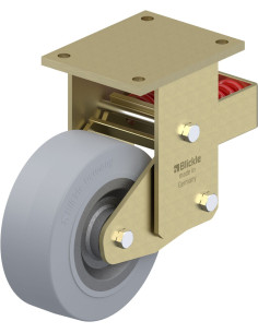 BSFN-SE 202K-SG spyruoklinis fiksuotas ratukas