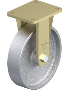 BS-G 250G fiksuotas ratukas