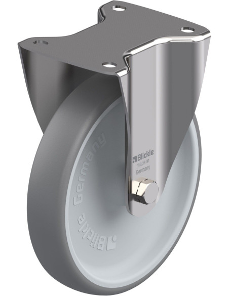 BX-TPA 200G - Nerūdijantis plieno fiksuotas ratukas