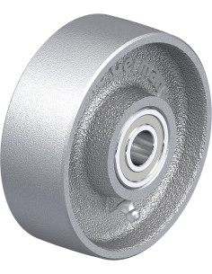 G 100/15K antistatinis ratukas, 100 mm