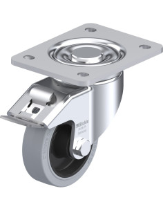 LH-POEV 100XR-3-FI-SG - 100 mm pasukamas ratukas su