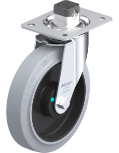 LE-POEV 200KAD-CS11-SG pasukamas ratukas su stabdžiais