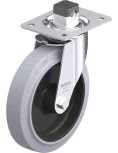 LE-POEV 200XR-CS11-SG pasukamas ratukas su stabdžiais