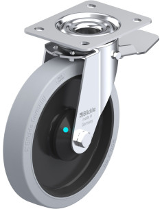 LE-POEV 201KAD-ST-SG pasukamas ratukas su stabdžiais